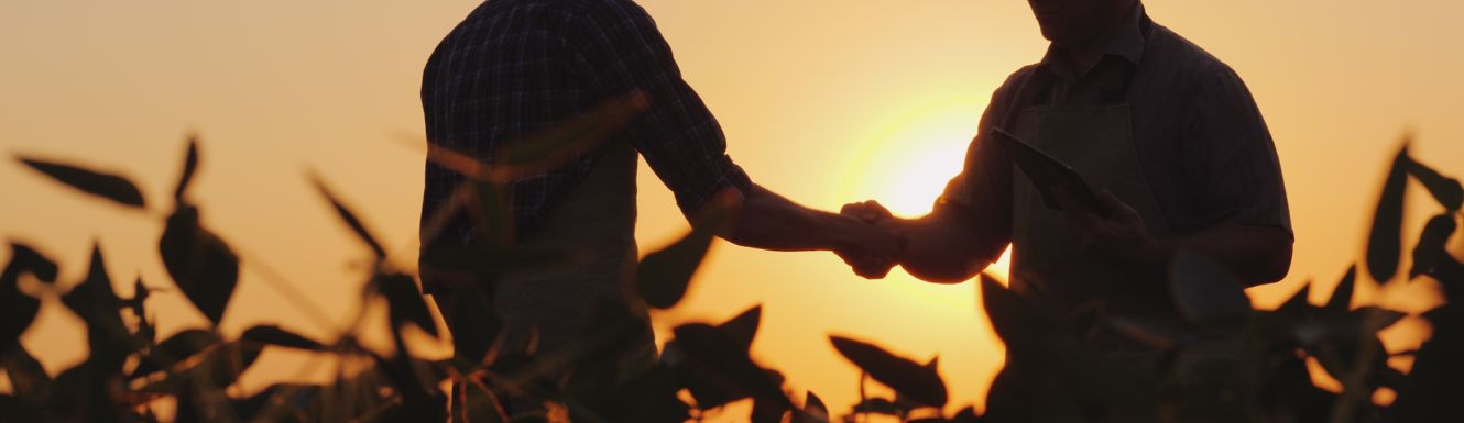 silhouette of two farmers shaking hands in a field with the sunset behind them