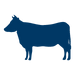 cow icon